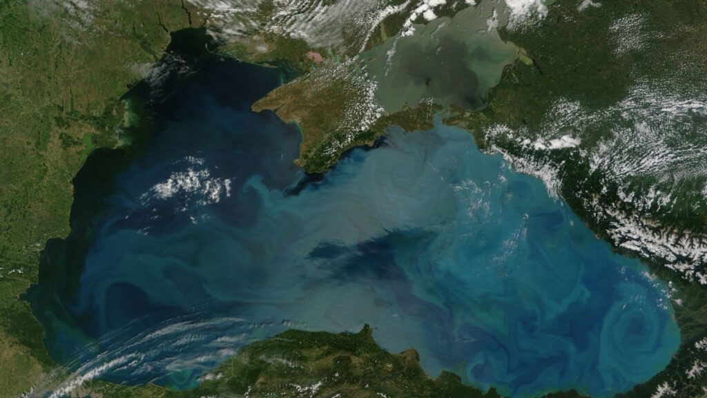 Phytoplankton bloom seen from space