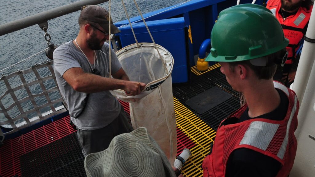 Researchers deploying a plankton net