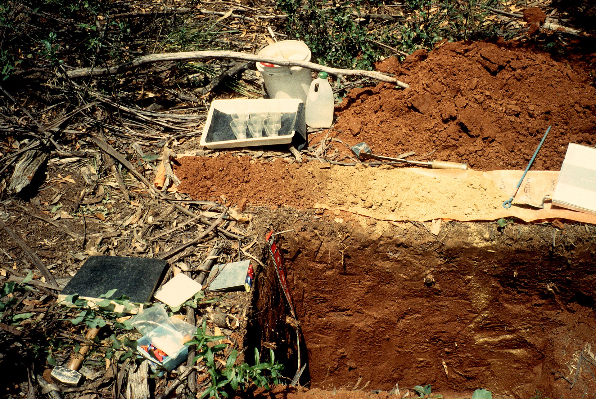 What tools do ecologists use? 30 Excavated soil samples and a soil pit prepared for laboratory analysis