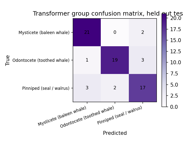 Can AI Tell a Narwhal From a Bowhead Whale by Sound Alone? 13 Confusion matrix showing a small transformer model reaching 84 percent accuracy on the same held out marine mammal call split as the random forest