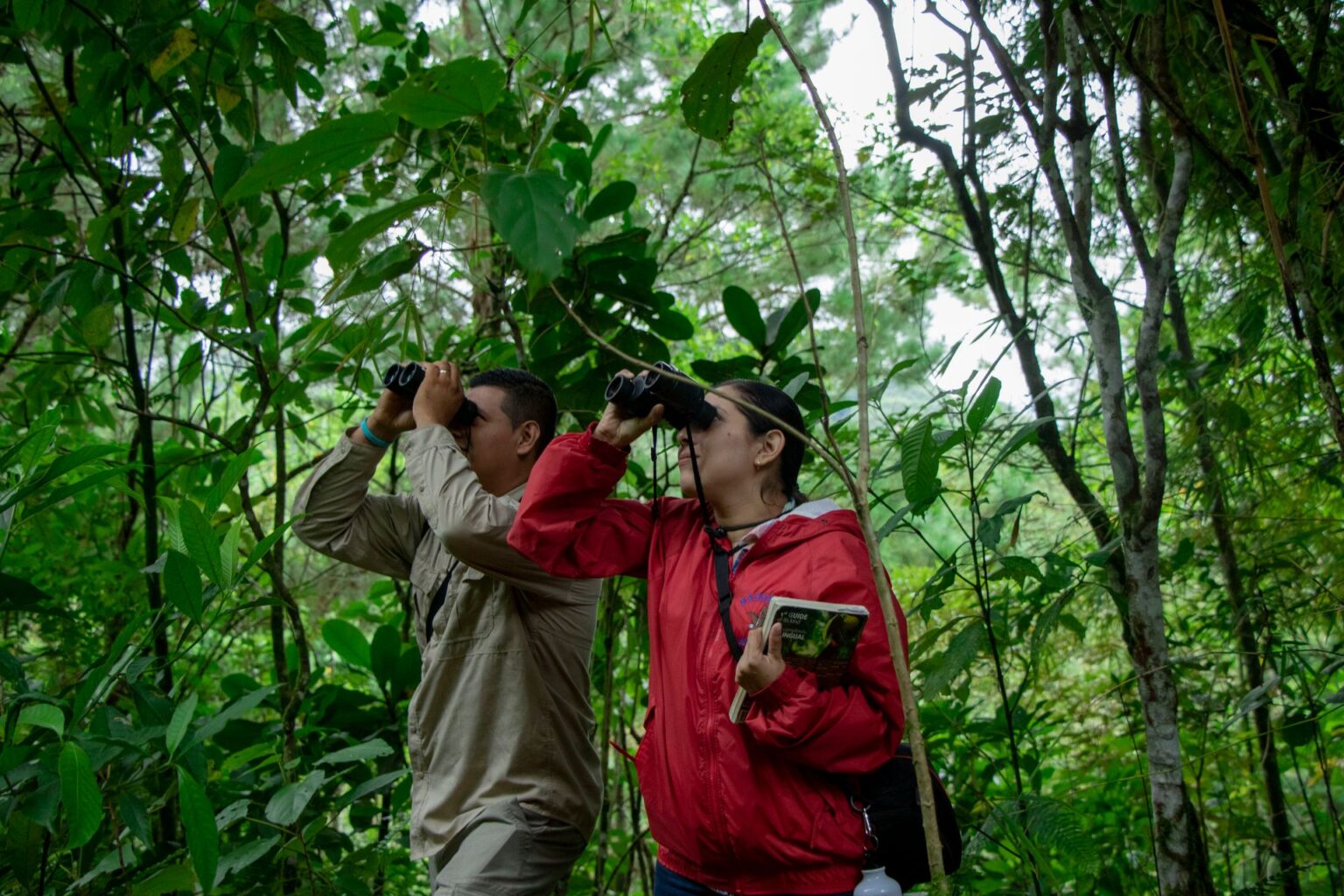 Contact 1 Two people watching wildlife through binoculars in a forest