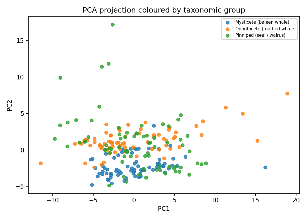 Can AI Tell a Narwhal From a Bowhead Whale by Sound Alone? 10 PCA projection of marine mammal calls colored by taxonomic group showing heavy overlap between mysticetes, odontocetes and pinnipeds