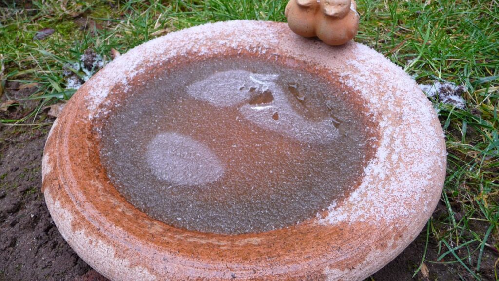 Heated Bird Baths for Winter: 20 Picks and the Depth Rule Most People Miss 2 Terracotta bird bath frozen over and dusted with frost in winter, the problem a heated bird bath is meant to solve