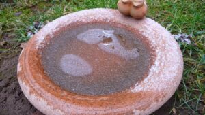 Terracotta bird bath frozen over and dusted with frost in winter, the problem a heated bird bath is meant to solve